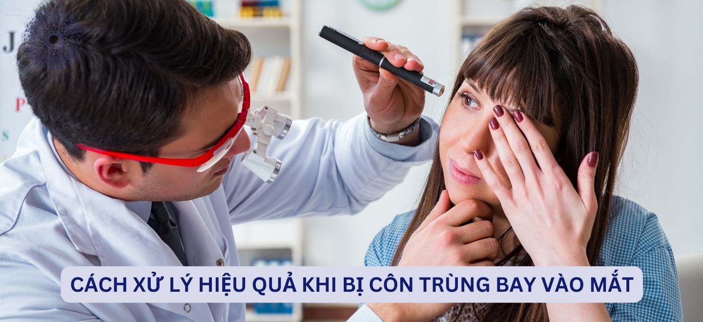 Cách Xử Lý Hiệu Quả Khi Bị Côn Trùng Bay Vào Mắt